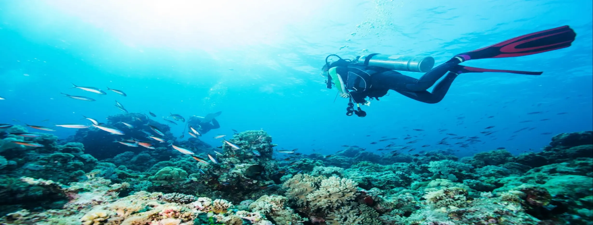 Image for Pearl Diving Experience
